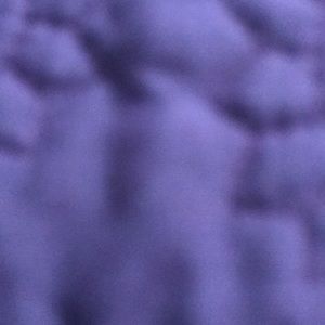 Meet your Posher, Amani